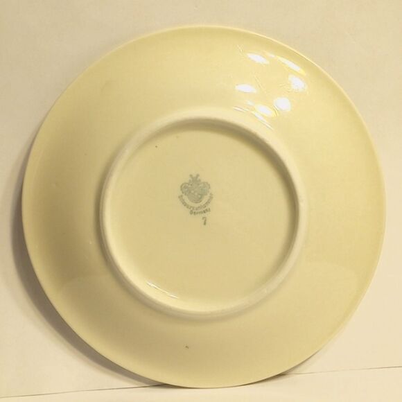 Vintage Floral Tea Cup and Saucer Schruarzenhammer Germany - Picture 3 of 9